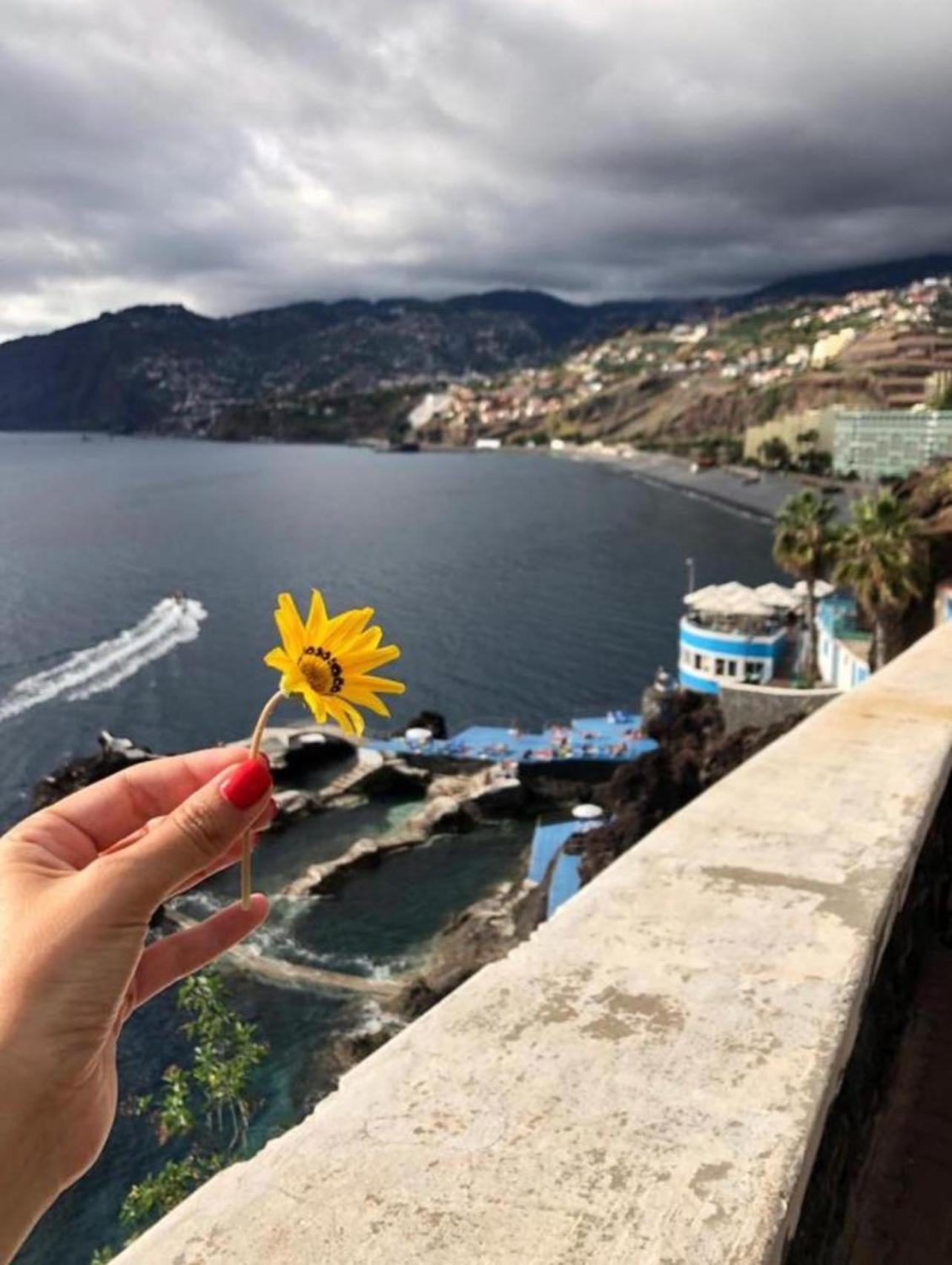Madeira Residence Apt. 80 Funchal  Eksteriør bilde